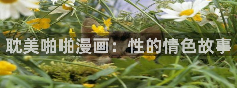 酷漫屋漫画免费下拉式在线观看
