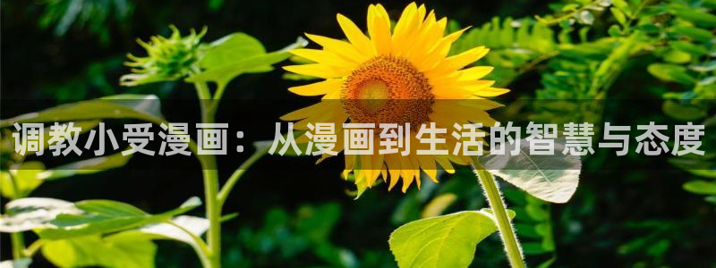 酷漫屋app下载安装