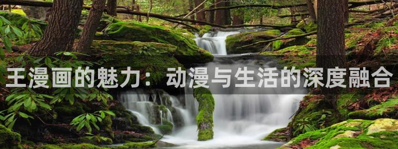 酷漫屋网入口页面