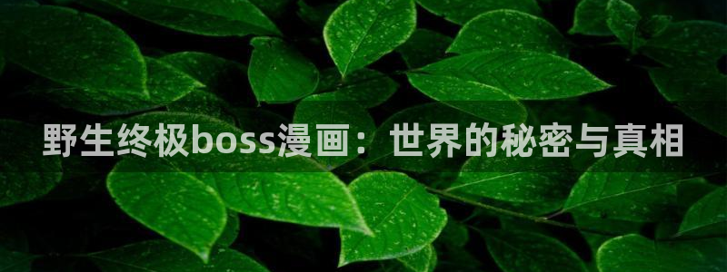酷漫屋下拉式：野生终极boss漫画：世界的秘密与真相