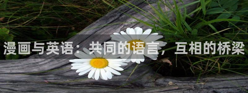 酷漫屋下拉式(免费漫画)：漫画与英语：共同的语言，互相的桥梁
