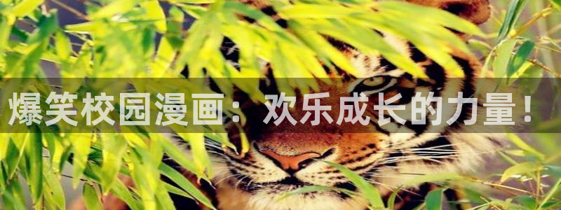 酷漫屋官网