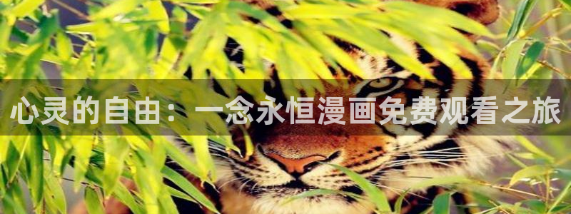 酷漫屋：心灵的自由：一念永恒漫画免费观看之旅