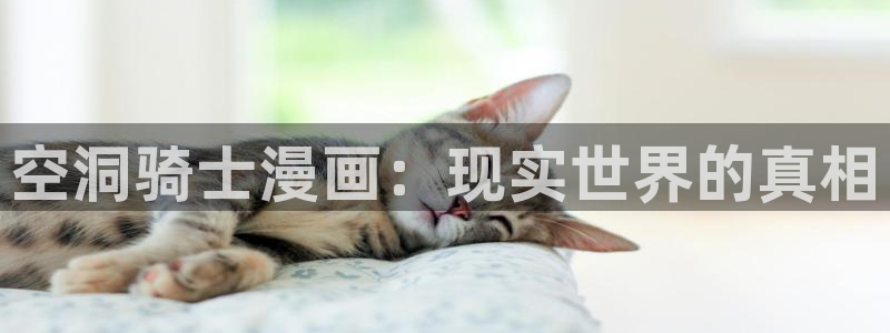 酷漫屋电影在线播放：空洞骑士漫画：现实世界的真相