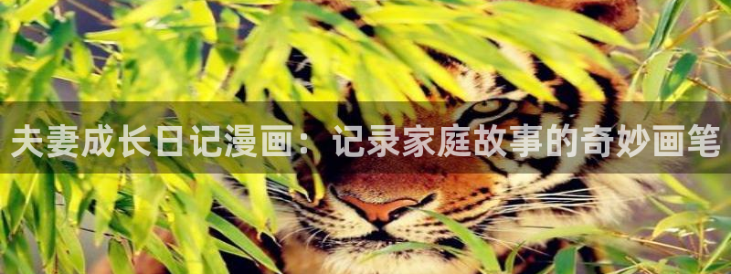 酷漫屋app官方入口：夫妻成长日记漫画：记录家庭故事的奇妙画笔