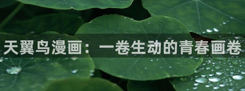 酷漫屋app下载安装官方最新：天翼鸟漫画：一卷生动的青春画卷