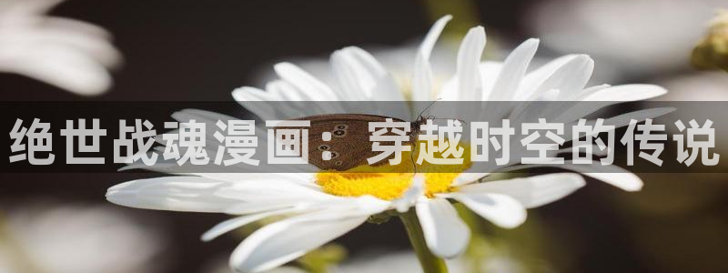 酷漫屋官网：绝世战魂漫画：穿越时空的传说