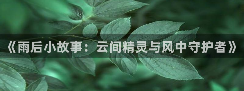 酷漫屋app官方入口：《雨后小故事：云间精灵与风中守护者》