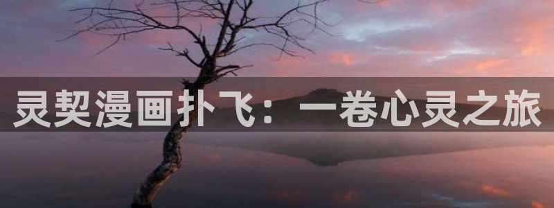 酷漫屋画官方免费漫画：灵契漫画扑飞：一卷心灵之旅